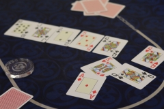 7516556528-img-0102