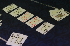 7524933088-img-0119