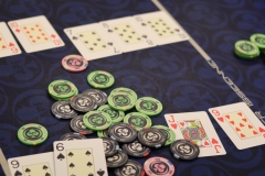 7589914224-img-0118